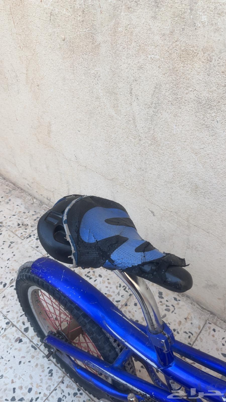 سيكل كوبرا مقاس16للبيع بدون الجنزير السوم وصل 8063758931158657112