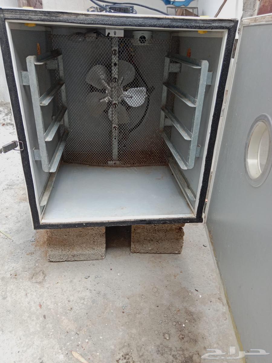 Original Italian VIMA incubator, very clean63754210226307113