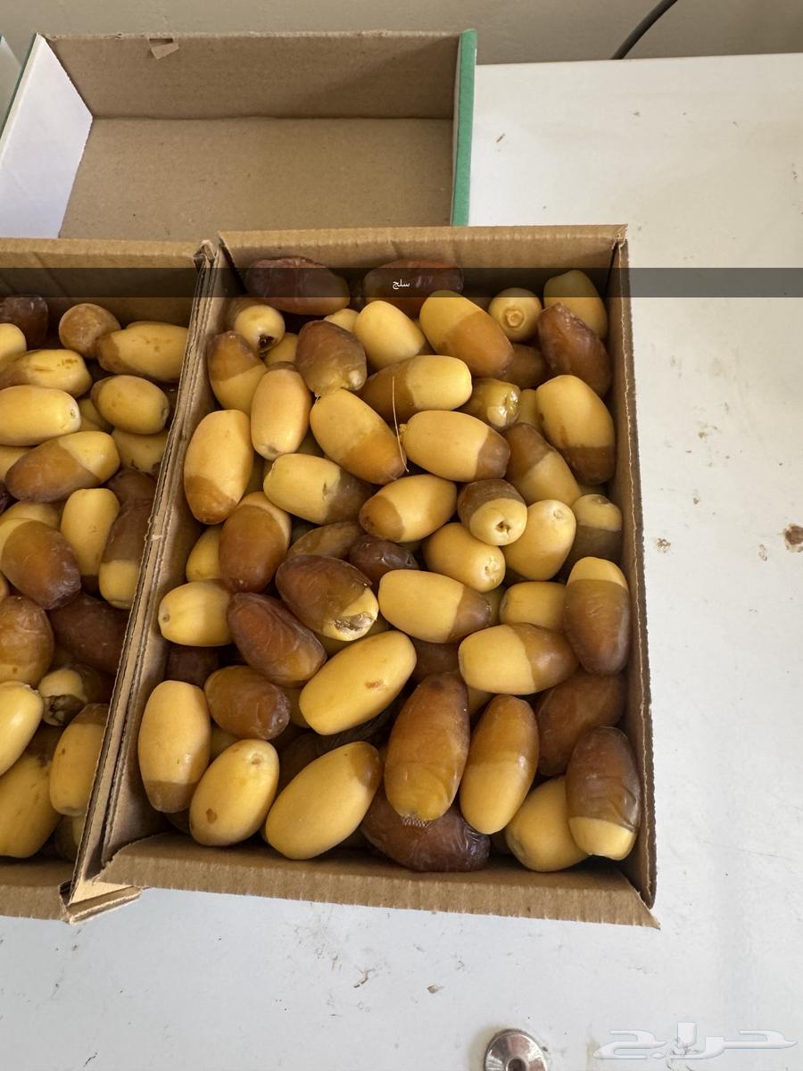 Selj, Khlas, Khinizi, and Ghurrah Dates for Sale63752938260994111