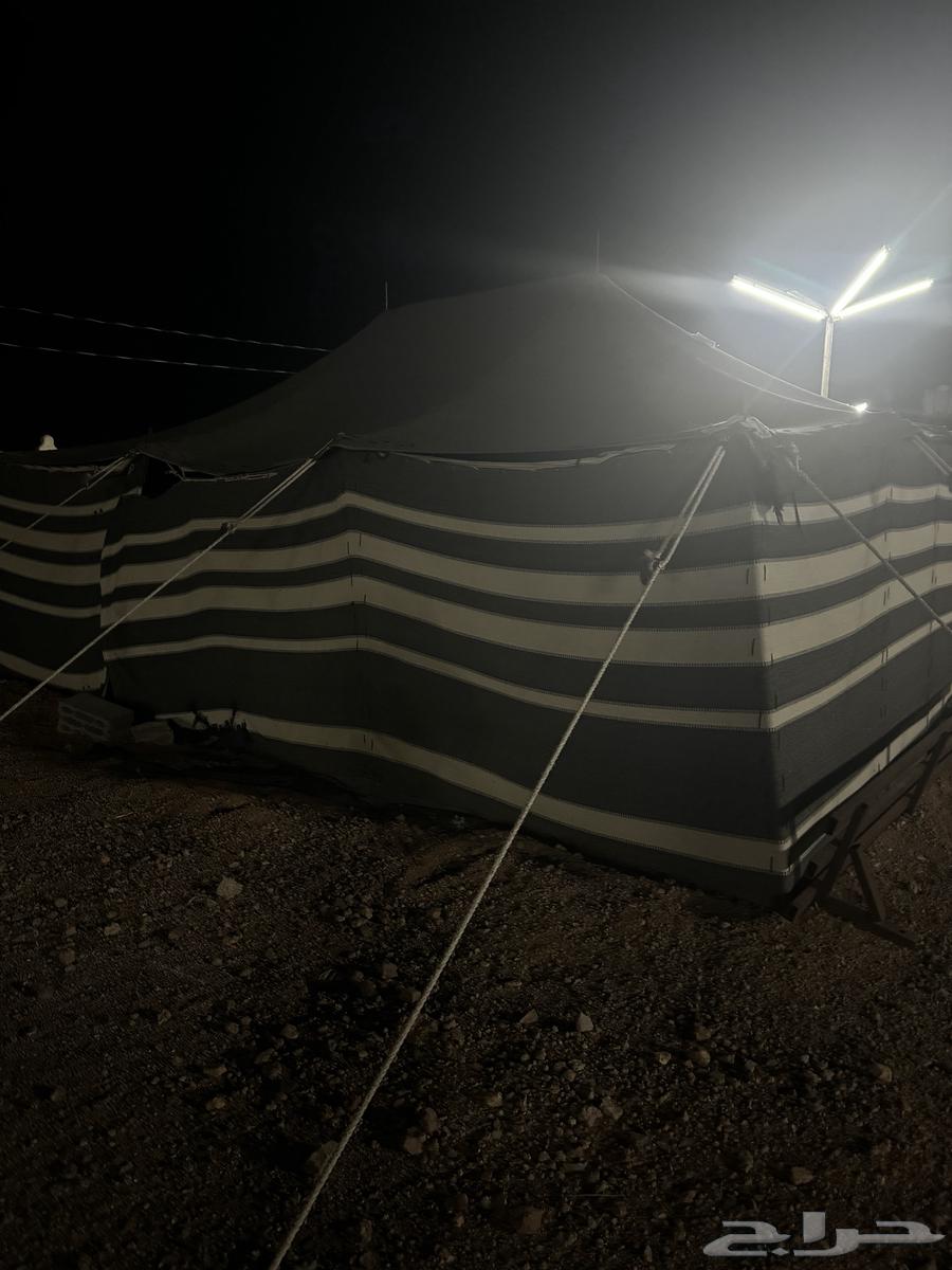 اخيمه عمودين للبيع63752249861891111