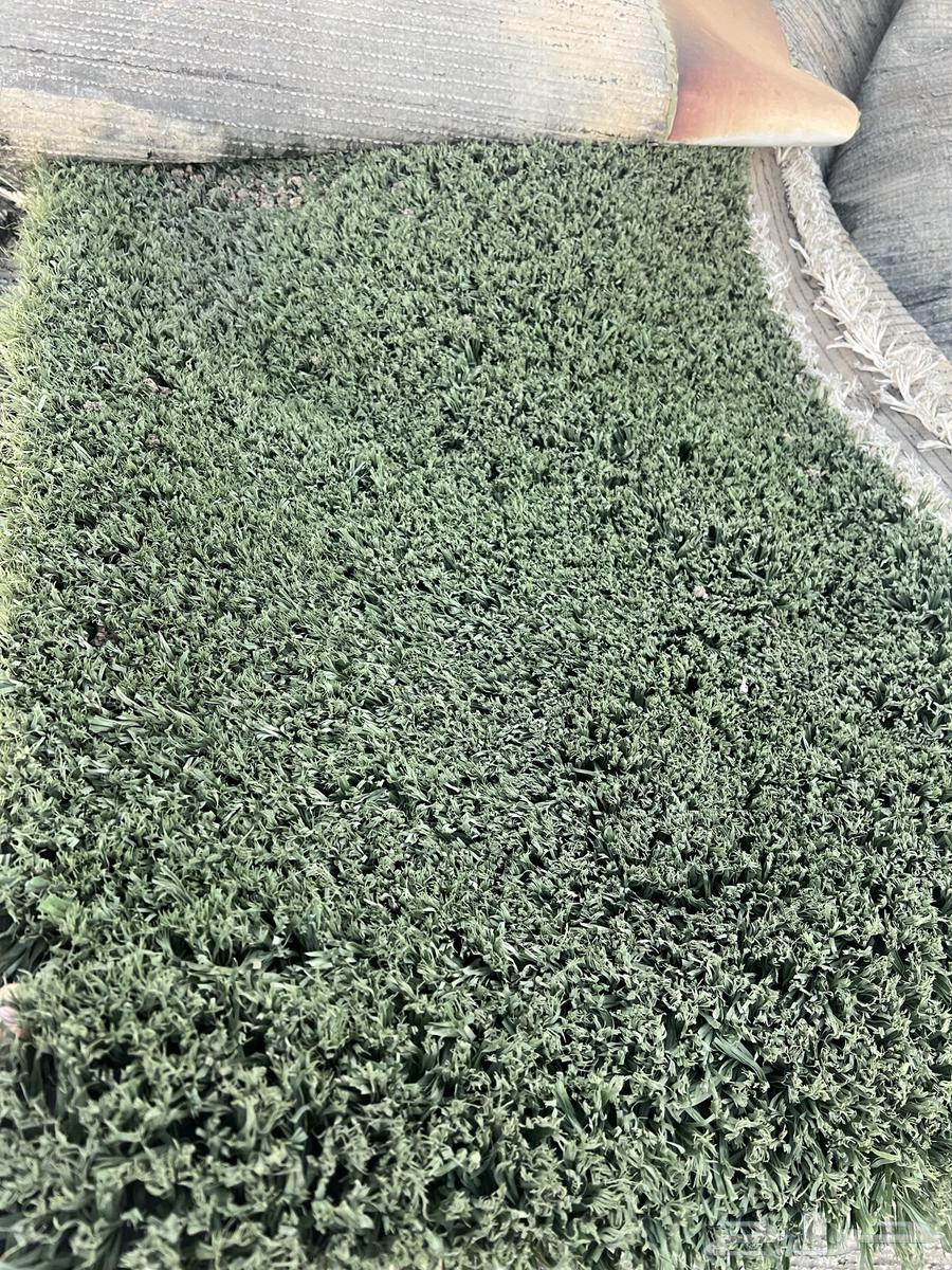 Selling high-quality artificial grass (used)63755105533442112