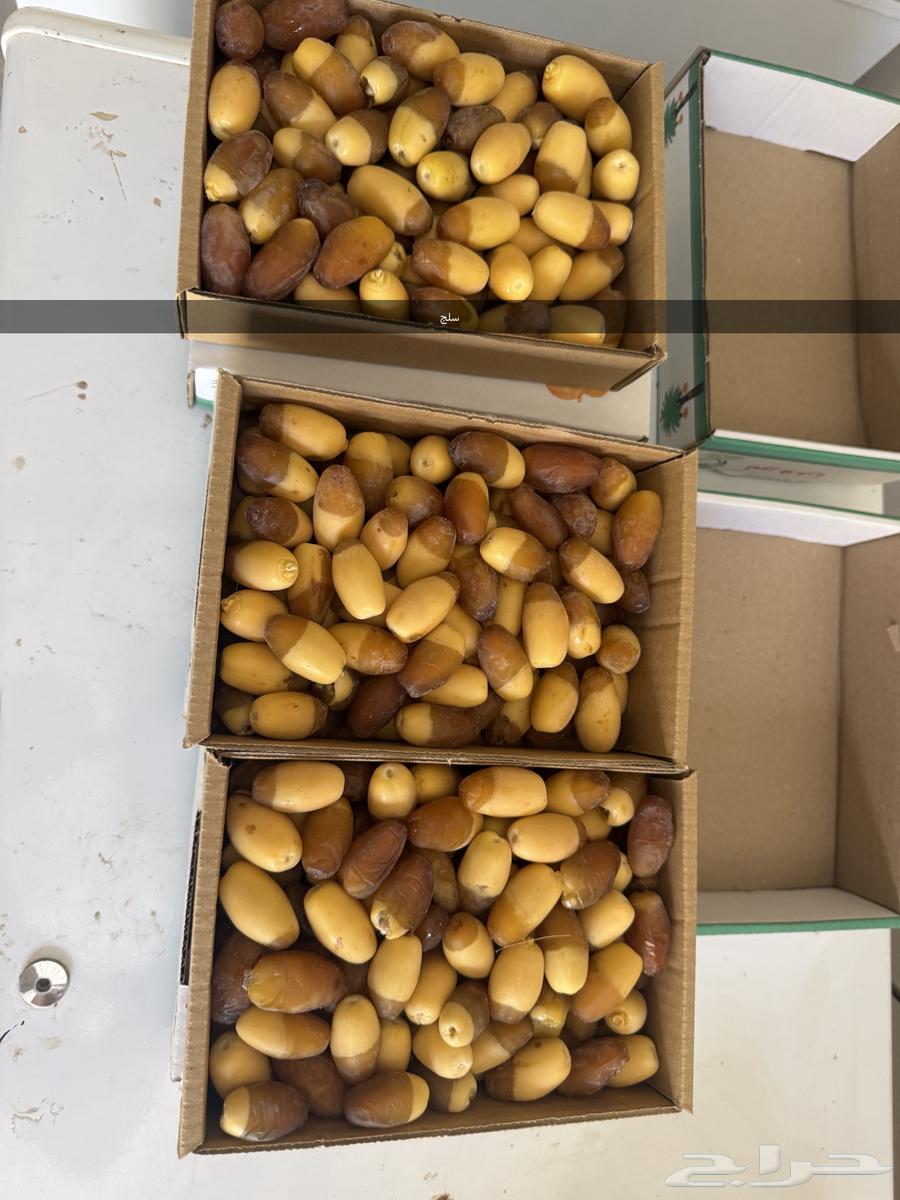Selj, Khlas, Khinizi, and Ghurrah Dates for Sale63752938260994110