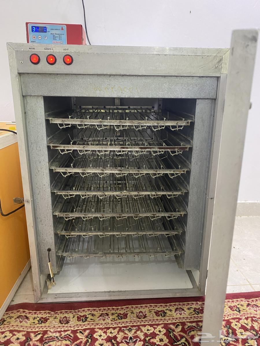 Incubator for sale with a capacity of 490 eggs63753231632385111
