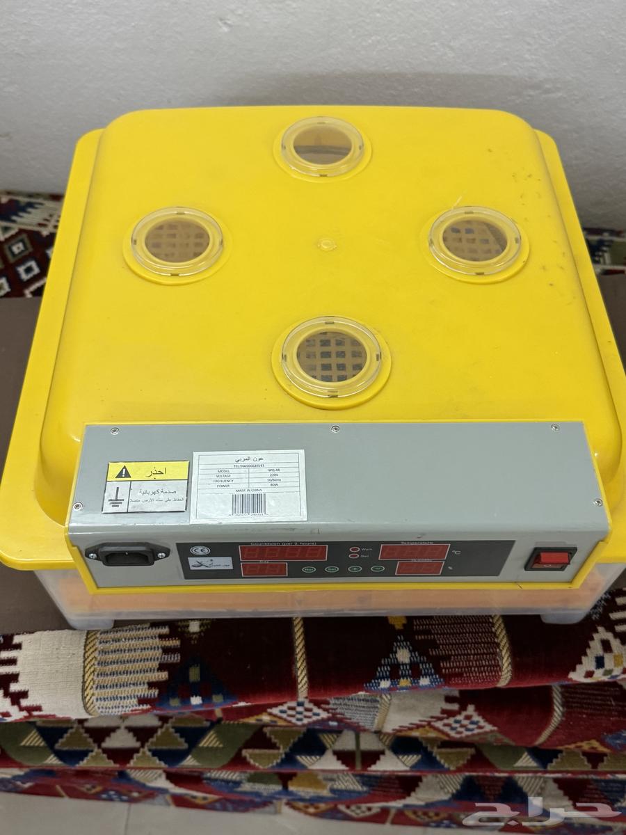 فقاصه 48بيضه للبيع على السوم63758723762945110