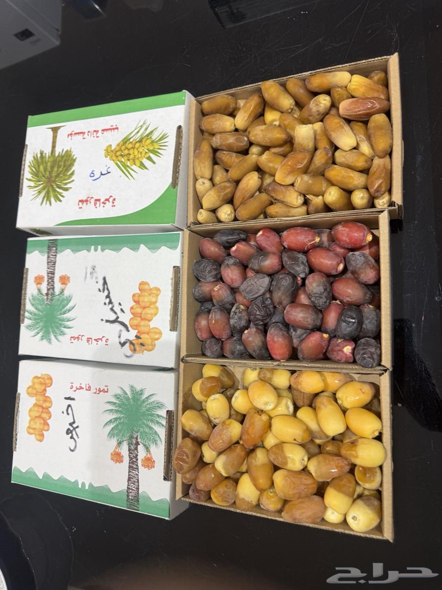 Selj, Khlas, Khinizi, and Ghurrah Dates for Sale63752938260994112