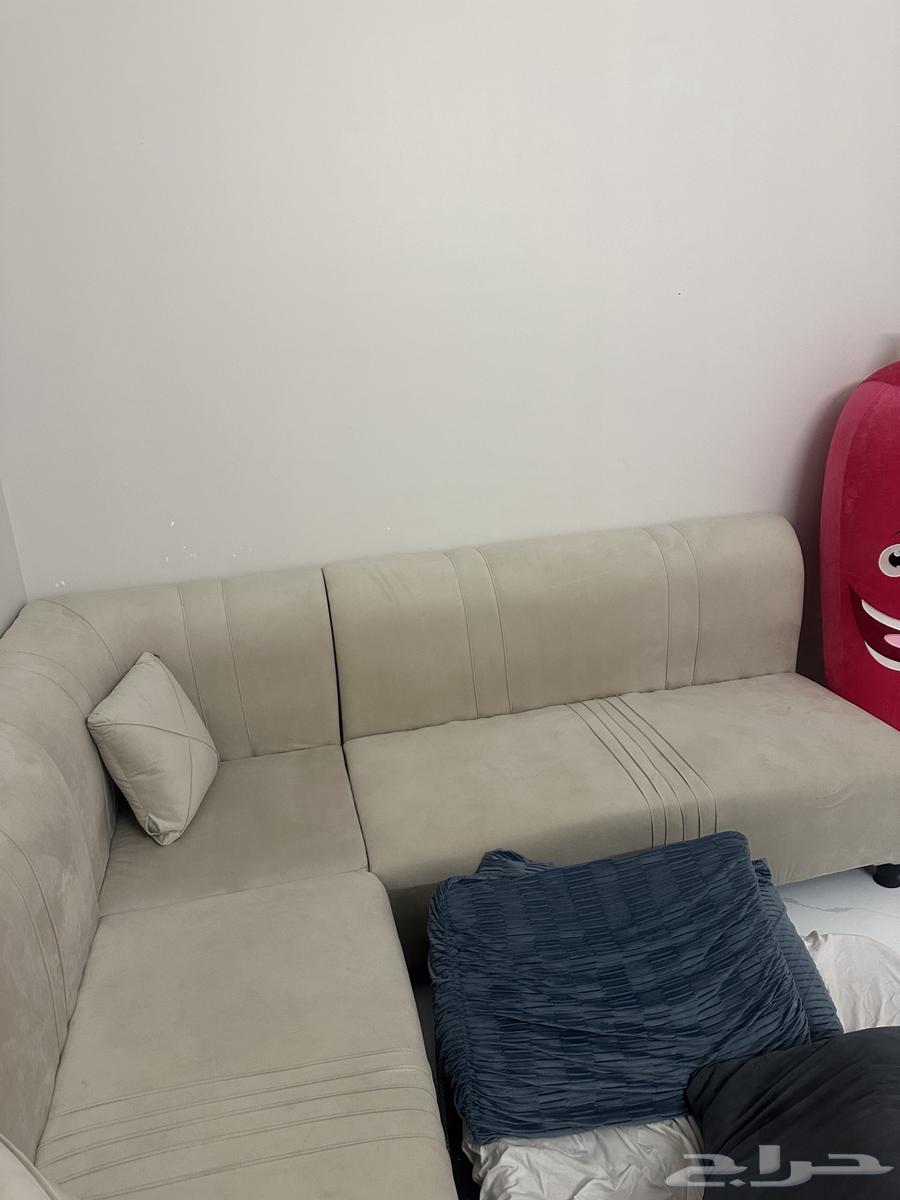 كنب مستعمل للبيع حرف ال مخمل مع مخدات 663749705620610111