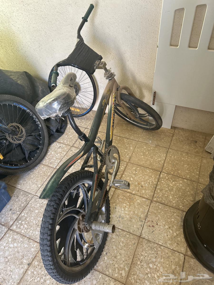 Cyclone Cobra 20.63756072053506111