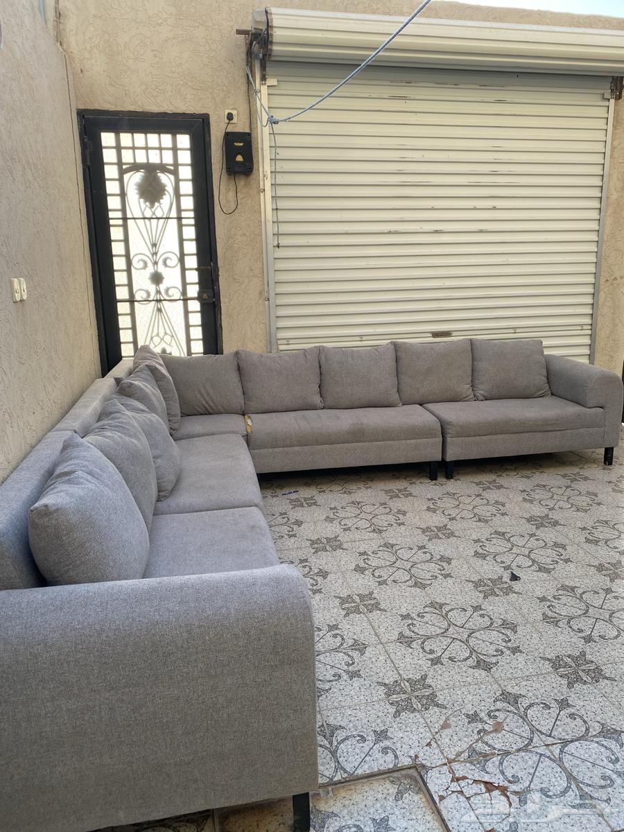 كنب حرف ال للبيع63753031313154110