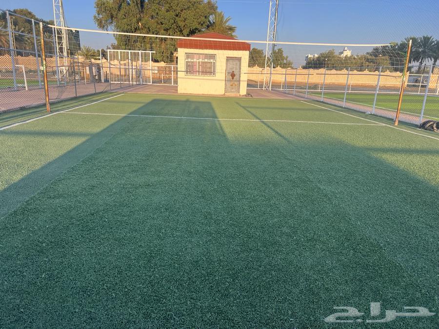Selling high-quality artificial grass (used)63755105533442113