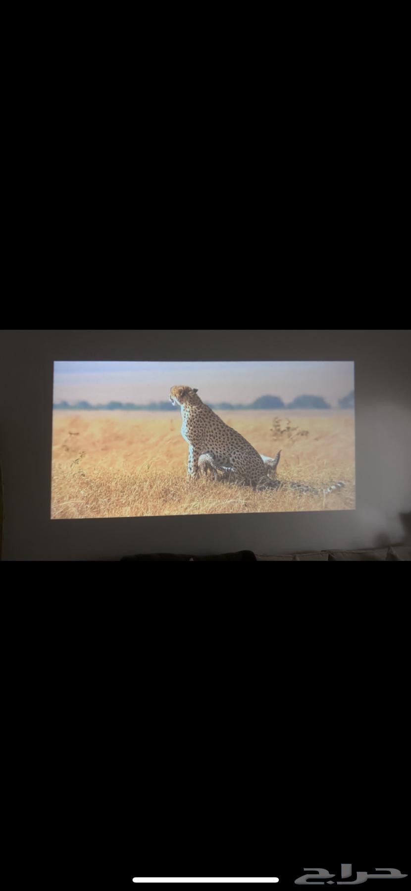 Projector63702791188227114