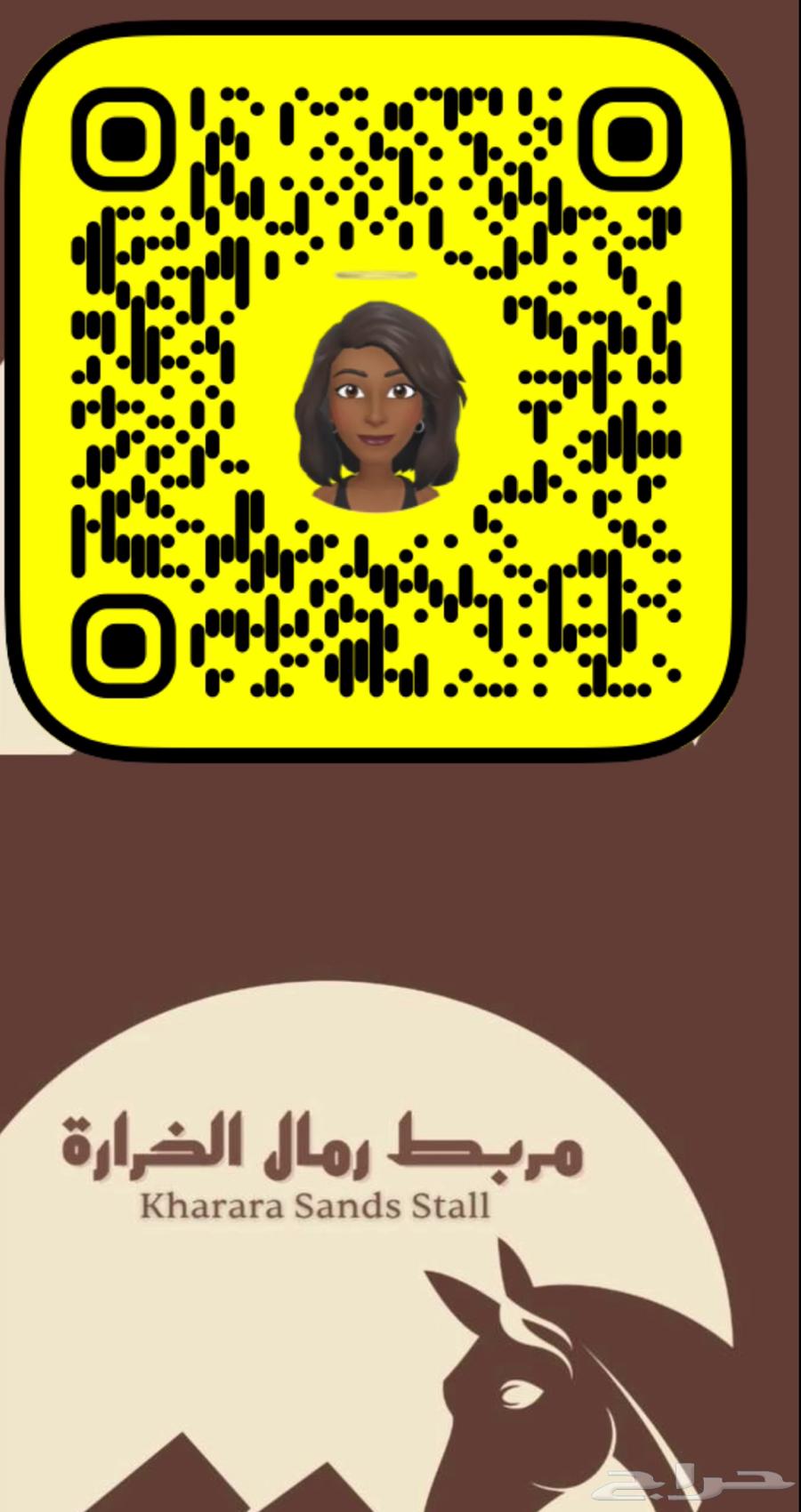 تدريب ركوب خيل - مربط رمال الخرارة63753031569665110