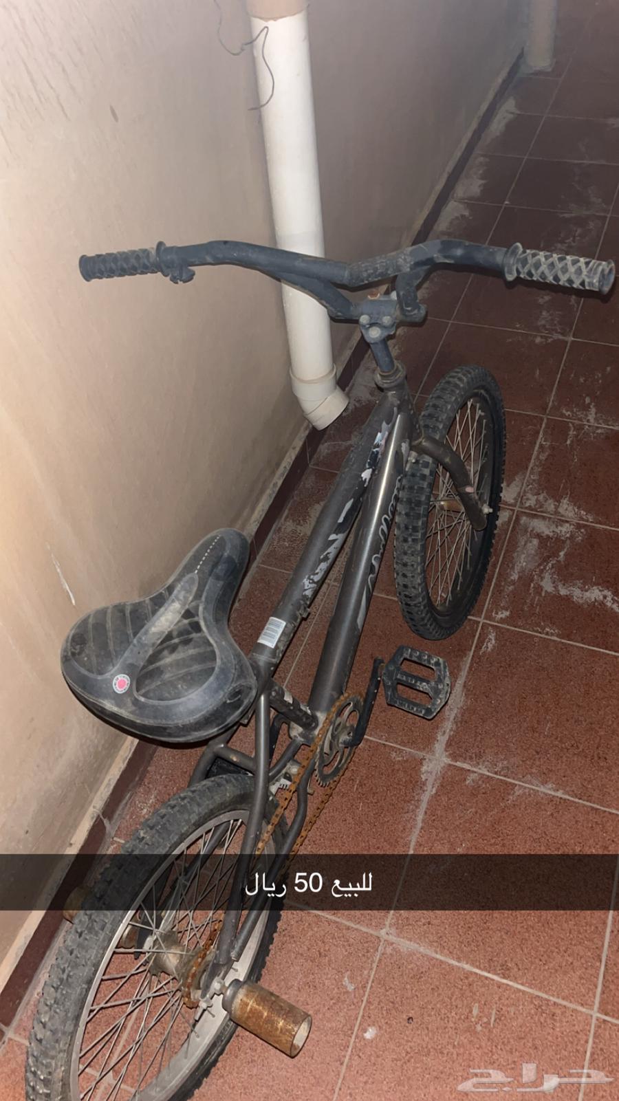 للبيع سيكل كوبرا 8063772832706307110