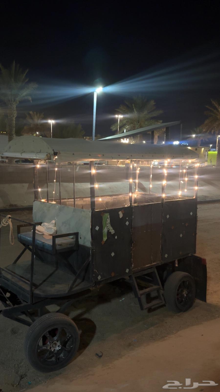 حصان وعربة خيل63762682836995114