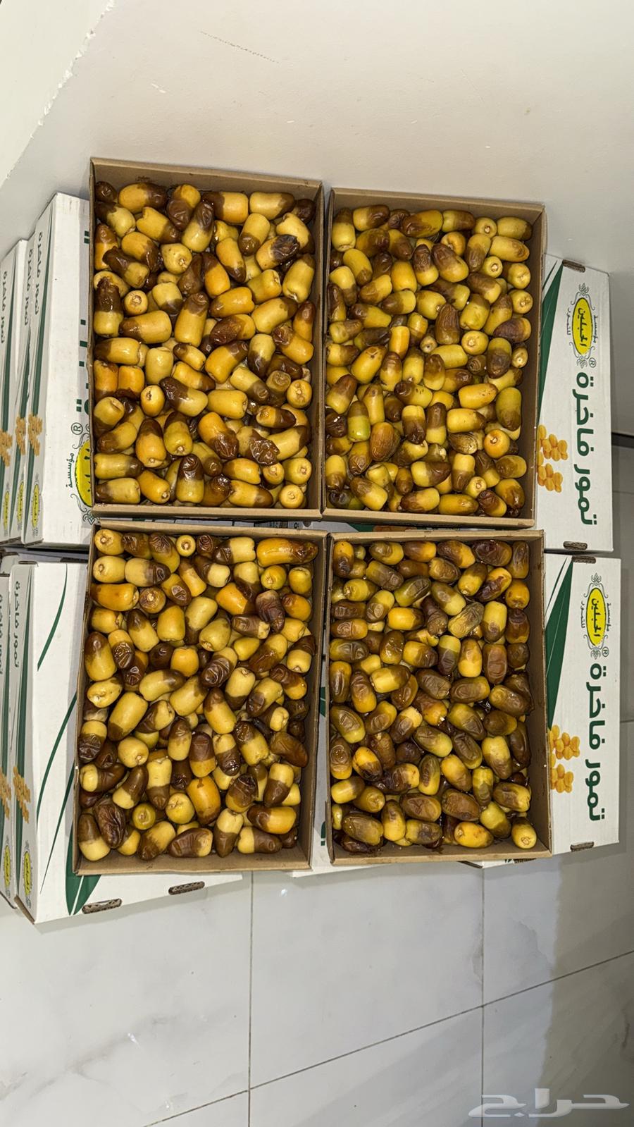 Barhi Dates63773706994945113
