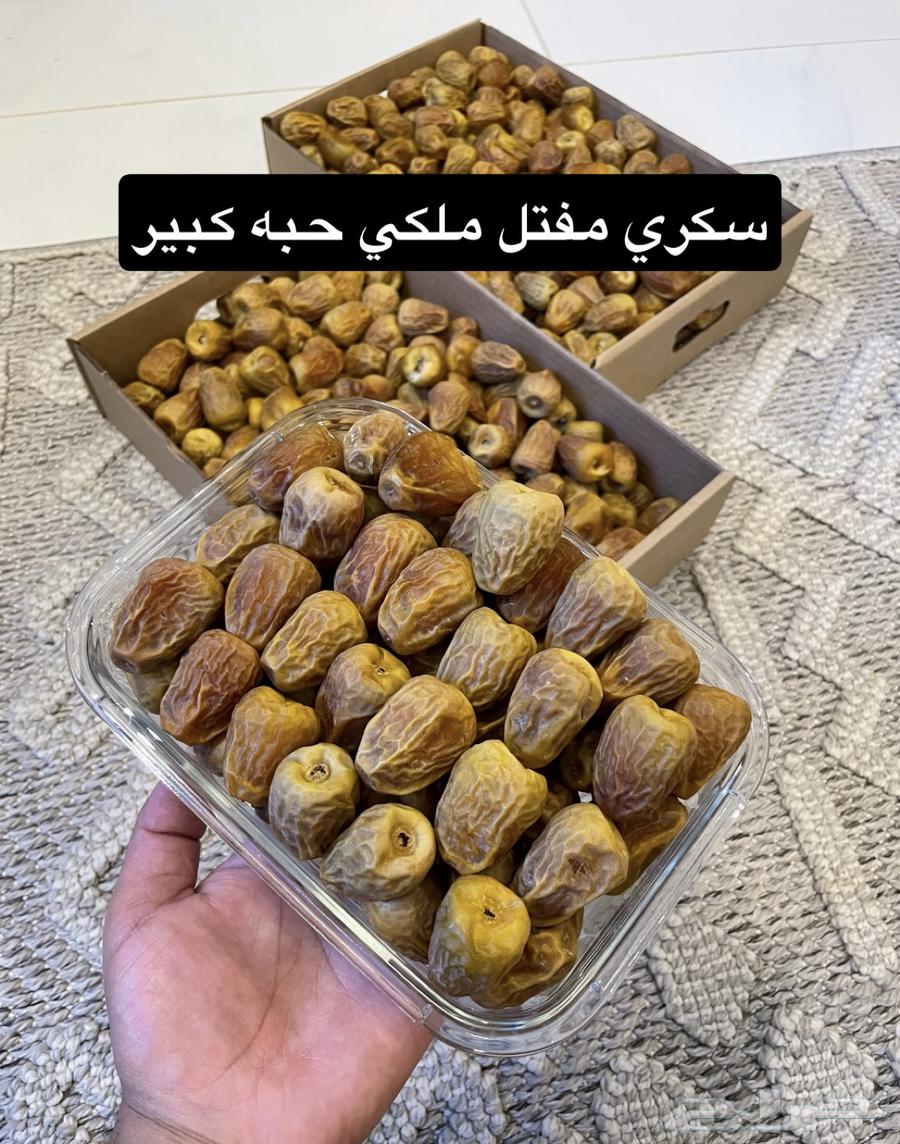 سكري مفتل رقم 1 حبه كبير خراف هالاسبوع63768029354242110