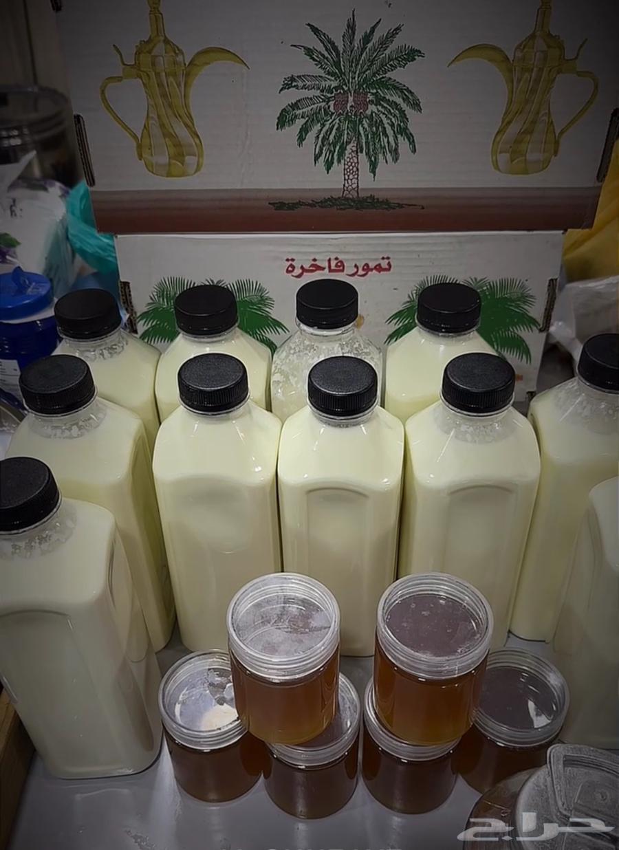 البان وحليب سمن مزرعه الزين63762000176386113