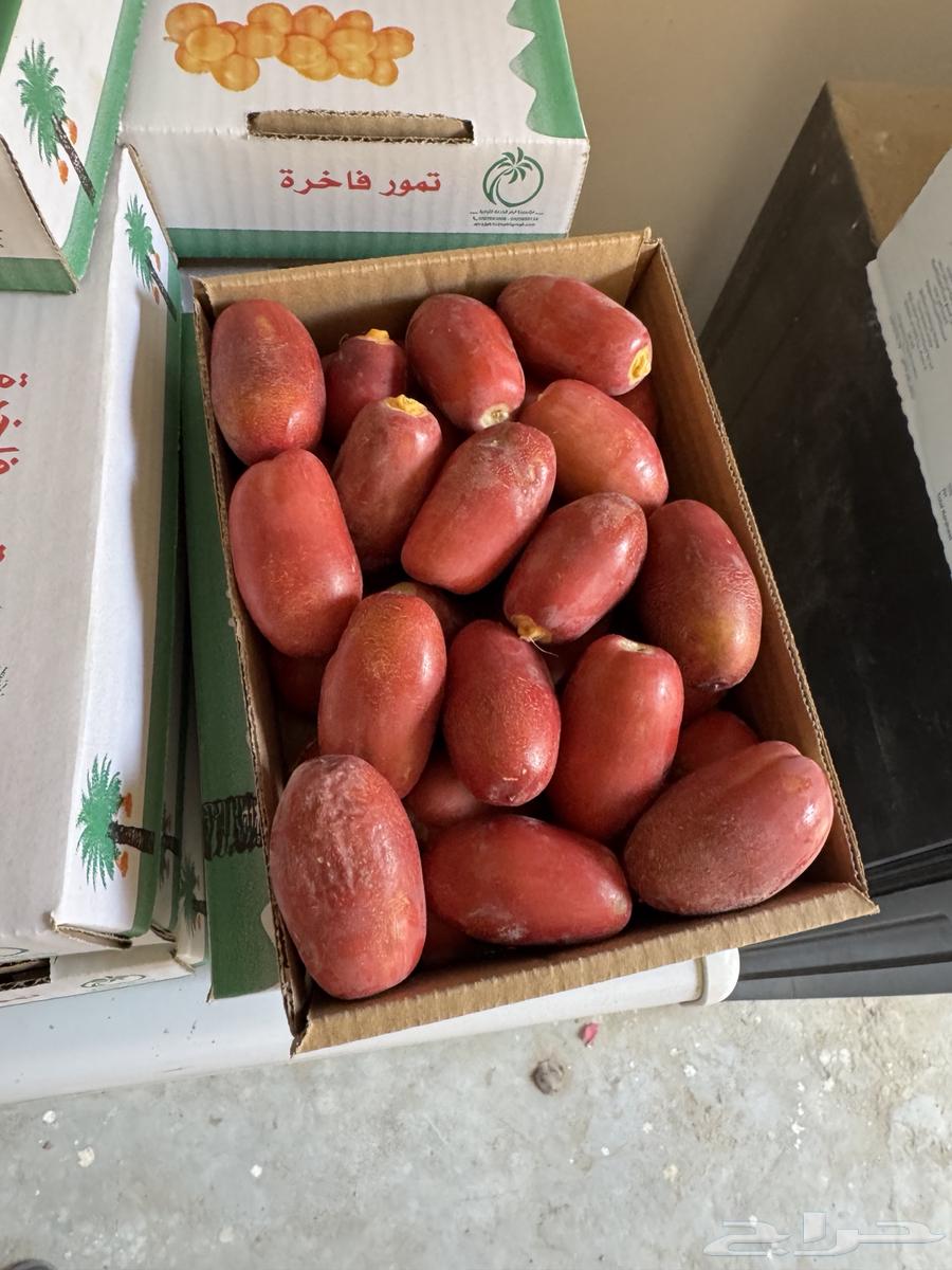Selj, Khlas, Khinizi, and Ghurrah Dates for Sale63752938260994114