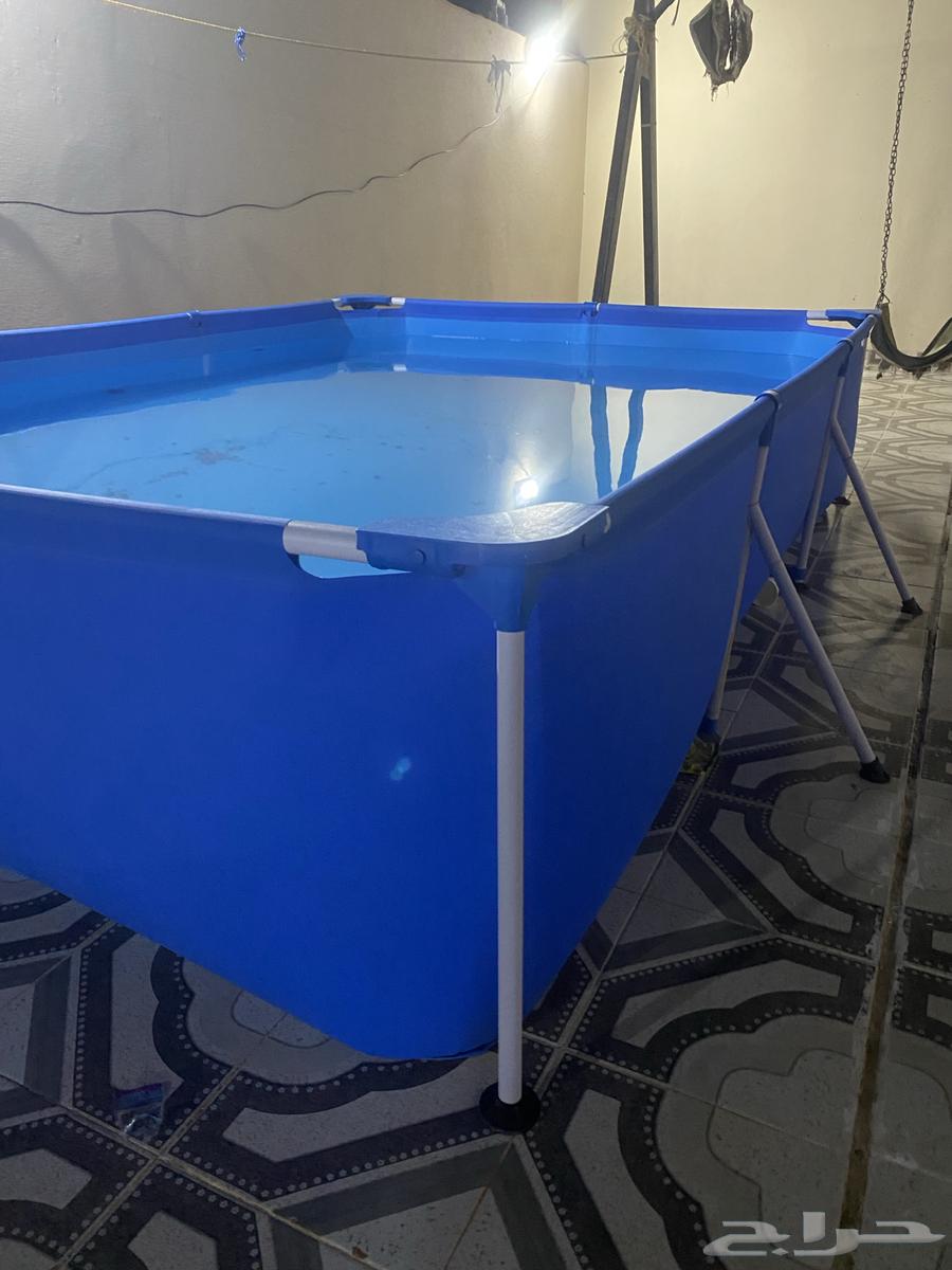 Large swimming pool63766249920898110