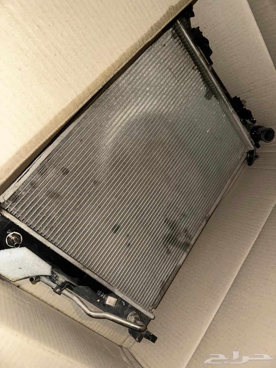 Rediter Accent 2017 Salima63906188861699110