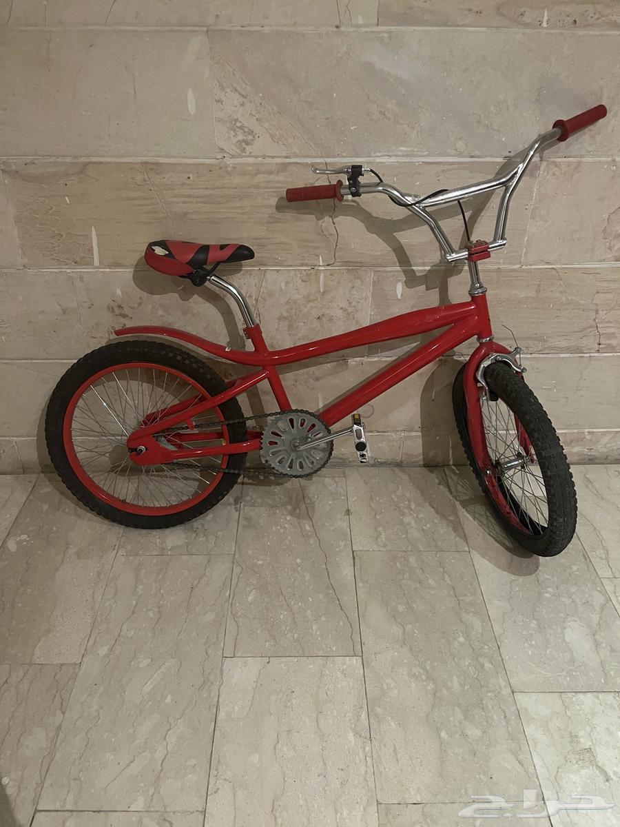 سيكل كوبرا نضيف على السوم63772323986945110