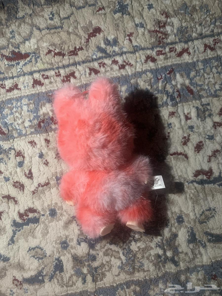 New Labubu, bought it from Noon and opened it to see the color63763757819010111