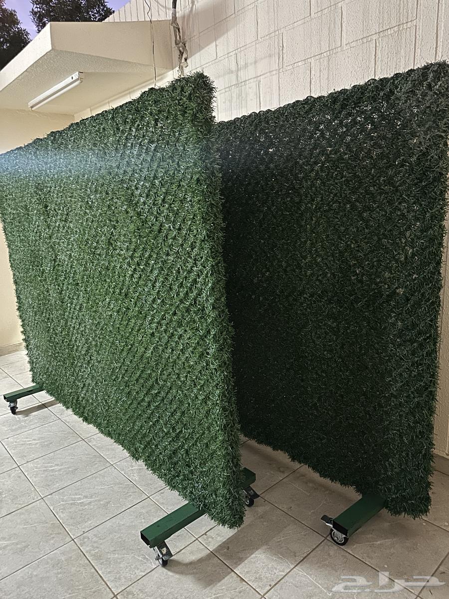 Grass Partition Screen63769323371139111