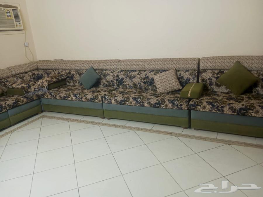 Full living room sofa in good condition, owned for only one year, reason for sale is relocation63772832725251113