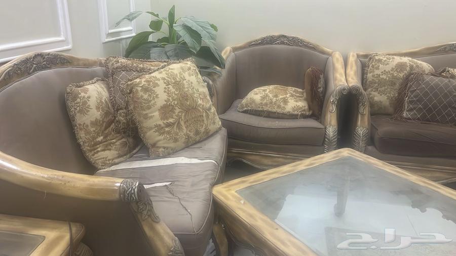طقم كنب مجلس فخم من لبنان خشب واسفنج ممتاز63771400582146111