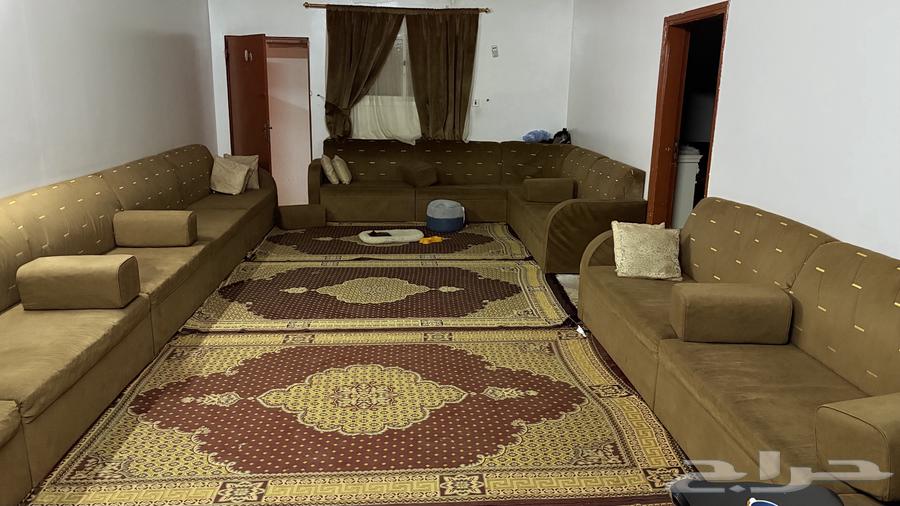 كنب بني63765064411267110