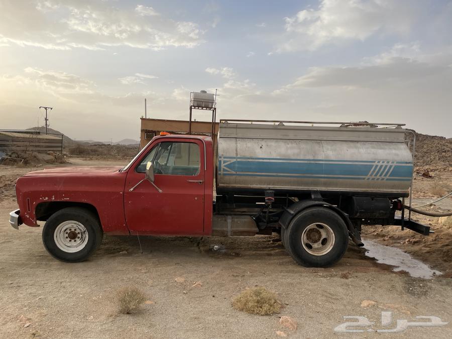 White Shafar for sale63901318089347113