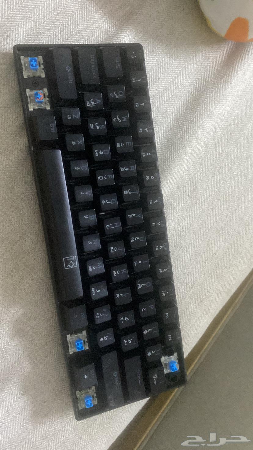 Blue Switch Keyboard63773519893889110