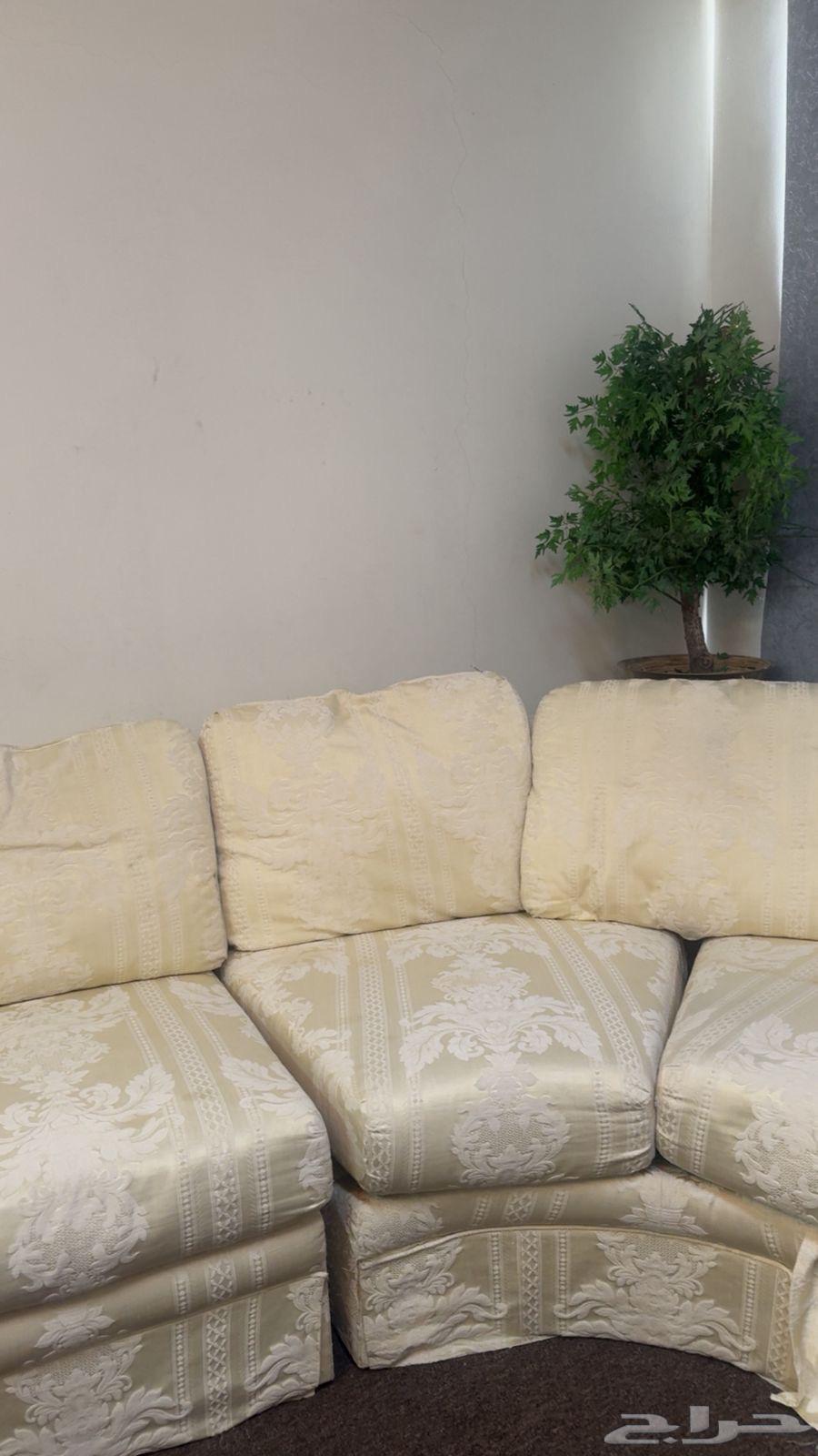 كنب من بيت الأنصاري63768227273345111