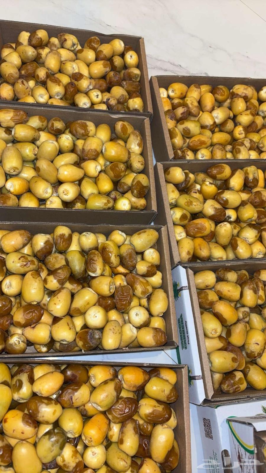 High-quality dates from our private farm63783411458434111