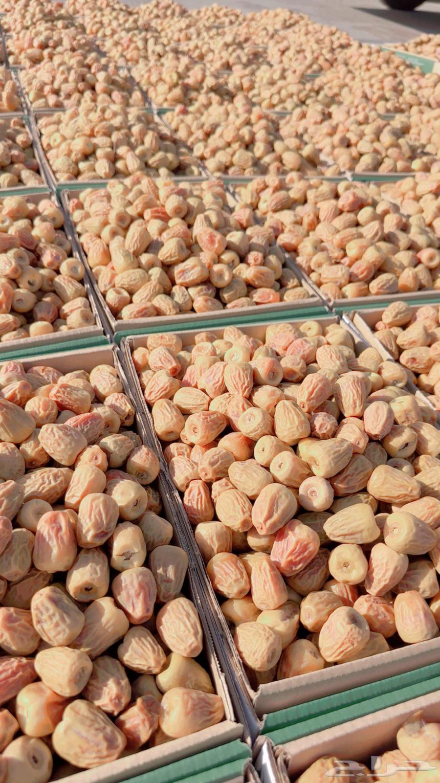 Premium and soft twisted dates guaranteed63776810986625112