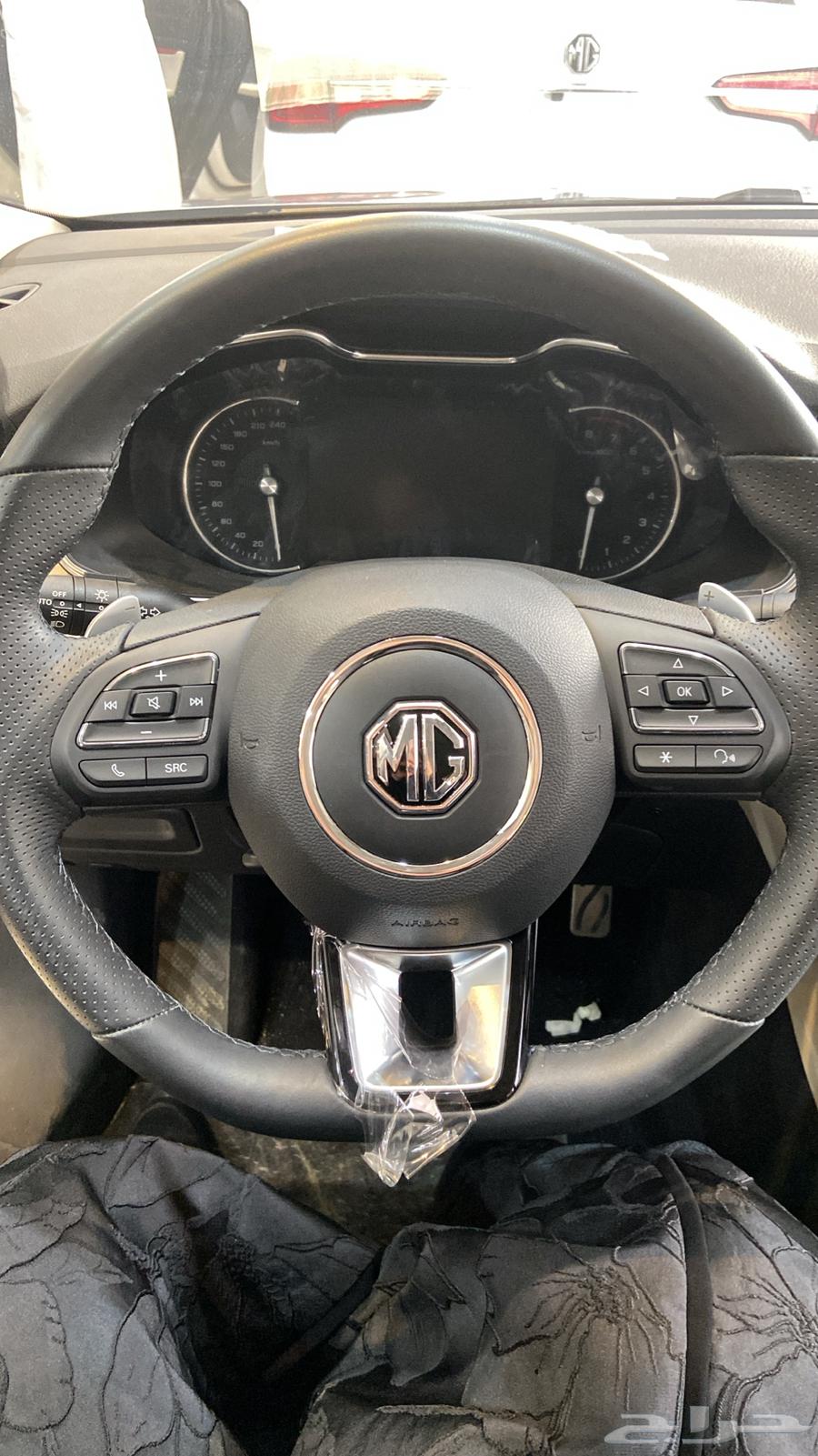 mg 663913837946115113