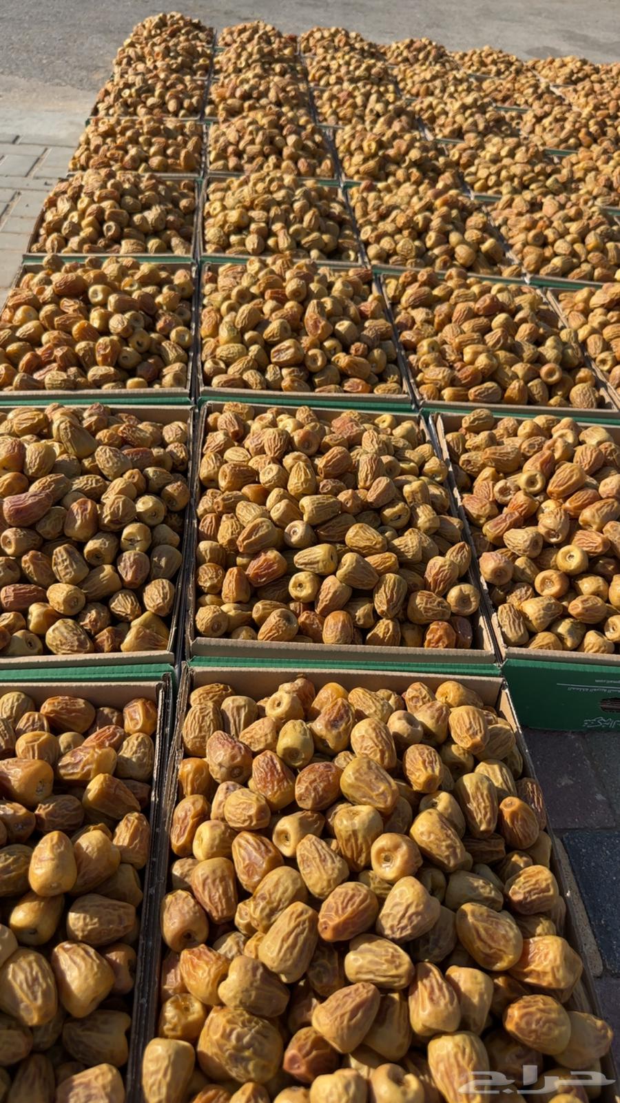 Premium and soft twisted dates guaranteed63776810986625113