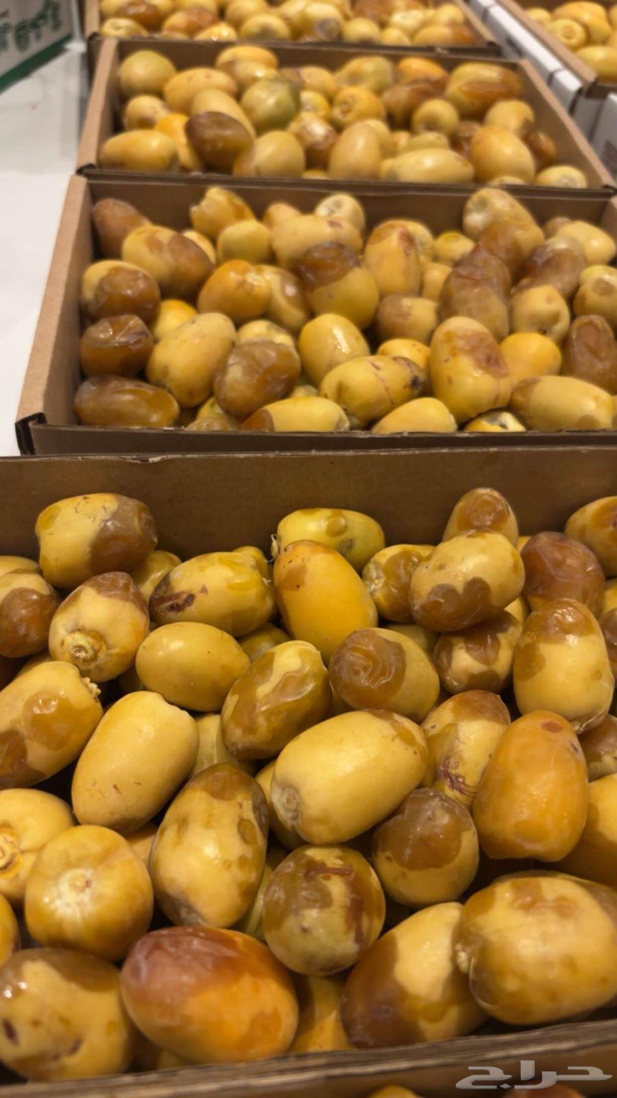 High-quality dates from our private farm63783411458434110