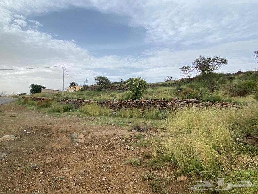 عمارة للإيجار