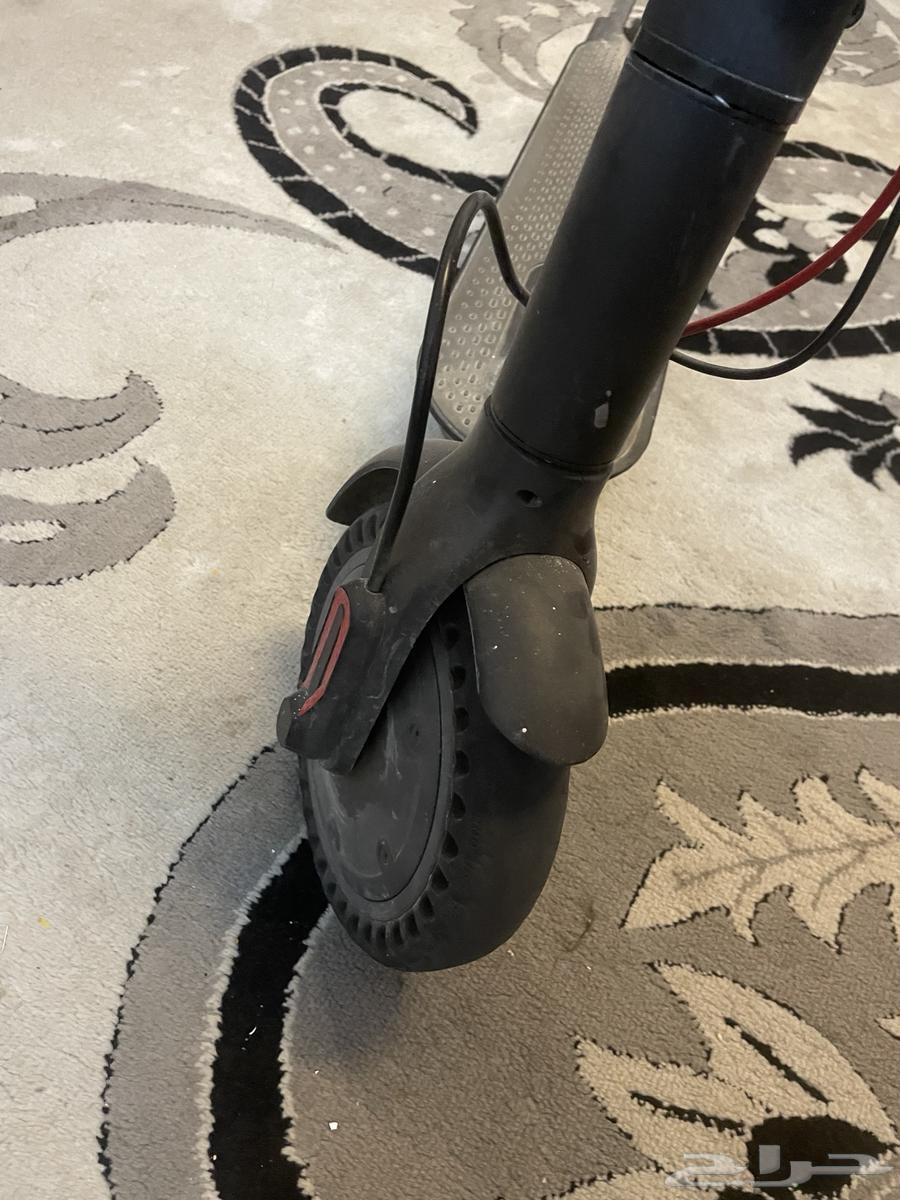 Scooter63777615745155110