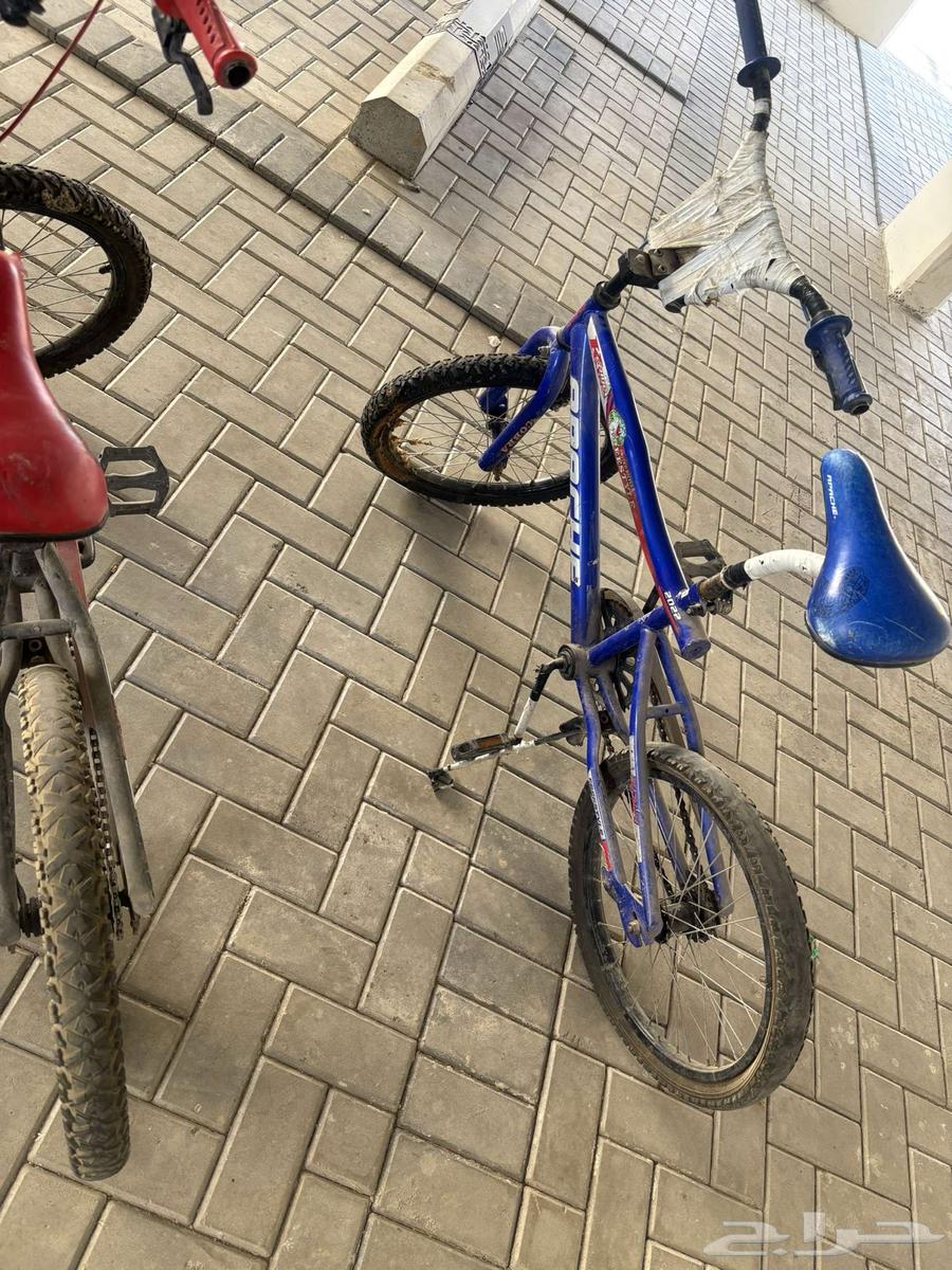 2 Cobra bikes stored for sale, each at 15063774007922945110