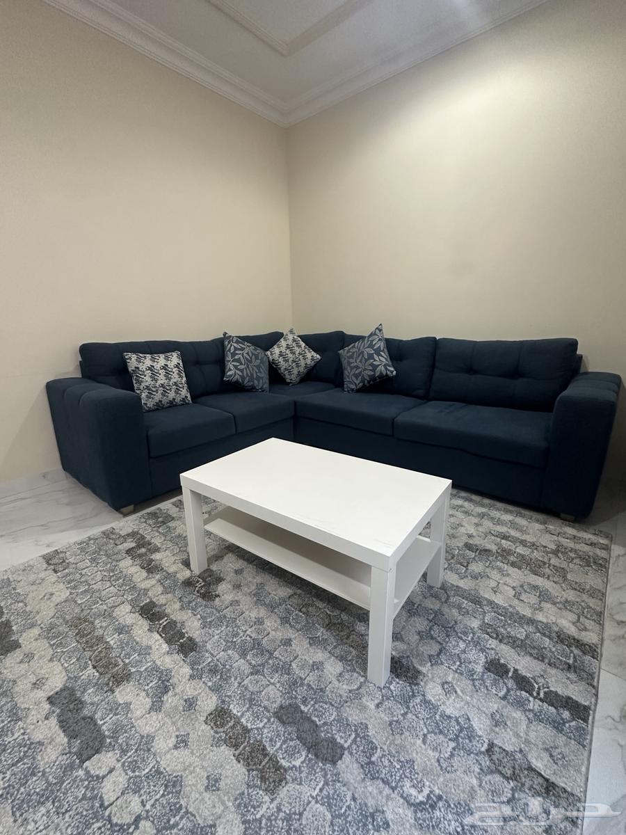 Dark blue sofa like the one in the picture, and a second gray one, all in good condition63778536409601111