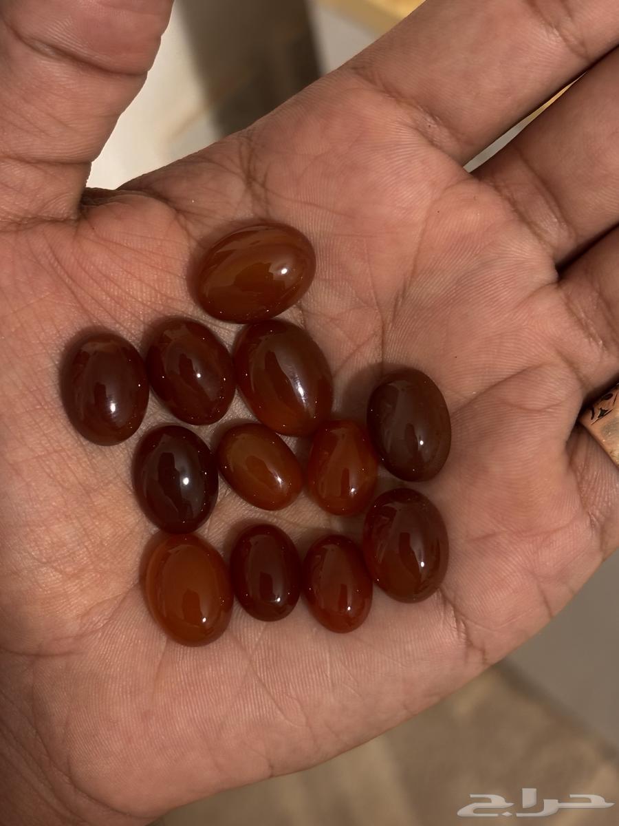 للبيع فصوص عقيق كبدي واحمر63786517920385111
