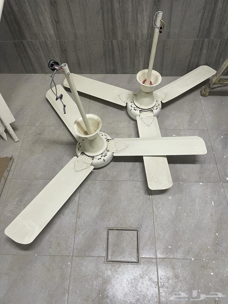 Two functional fans with switch63780668510083111