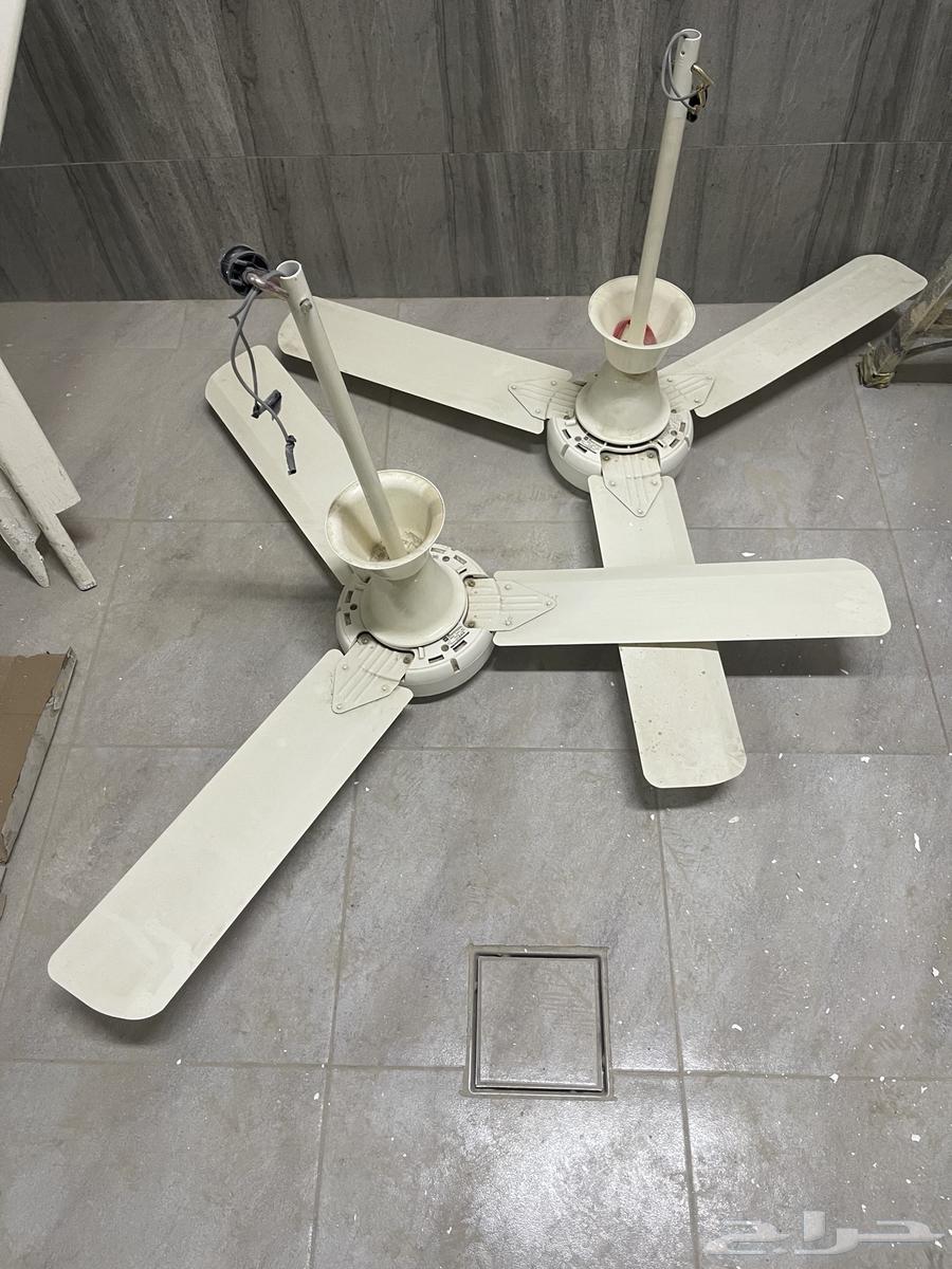 Two functional fans with switch63780668510083110