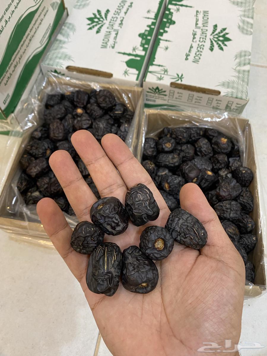 Ajwa Dates63781182024578113
