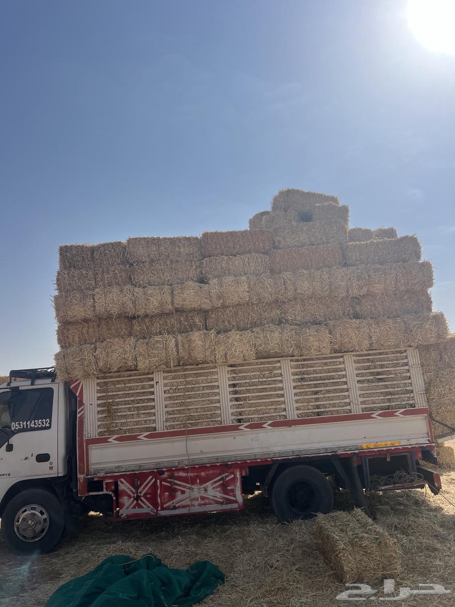 تبن بر جديد63780222258177110