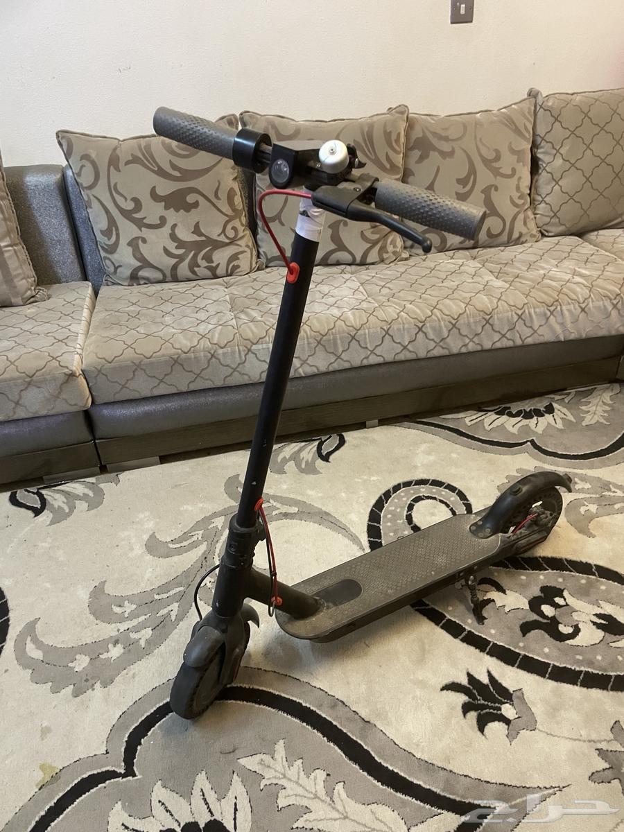 Scooter63777615745155114