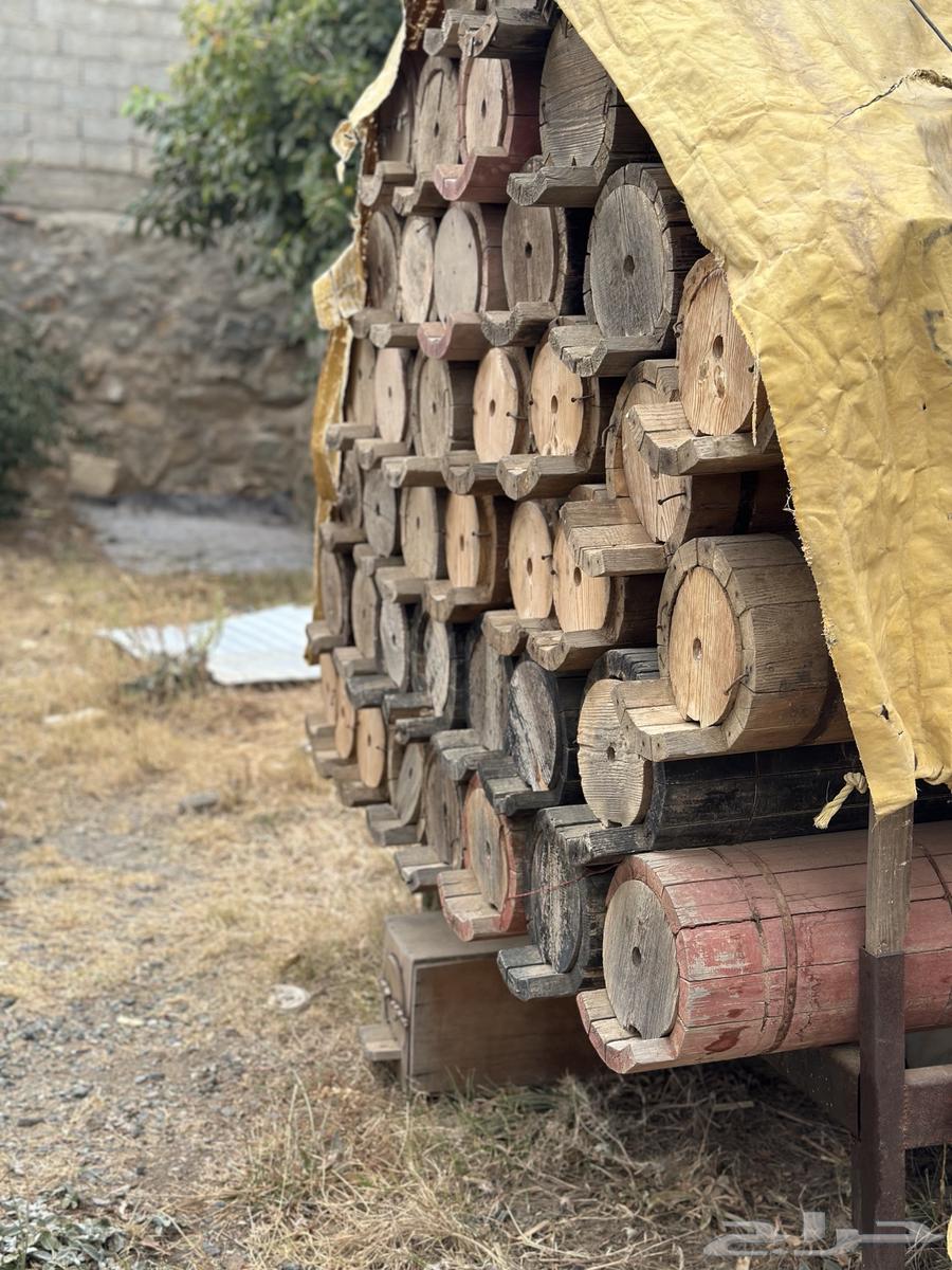 Shamrani-type beehives, 40 very clean cells, and they were previously settled63781599065859111