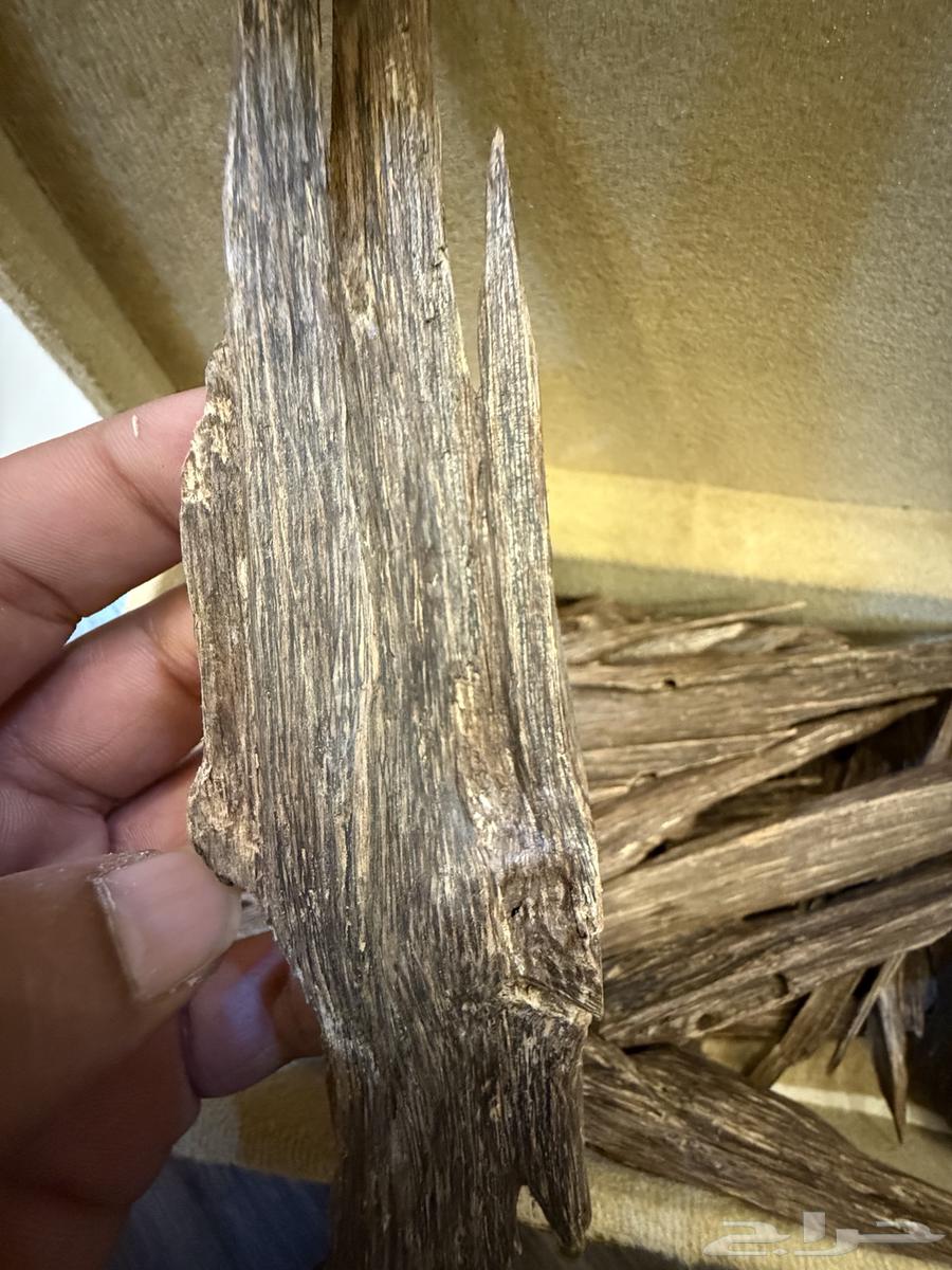 عود هندي سيوفي اسام طبيعي63779068343427111