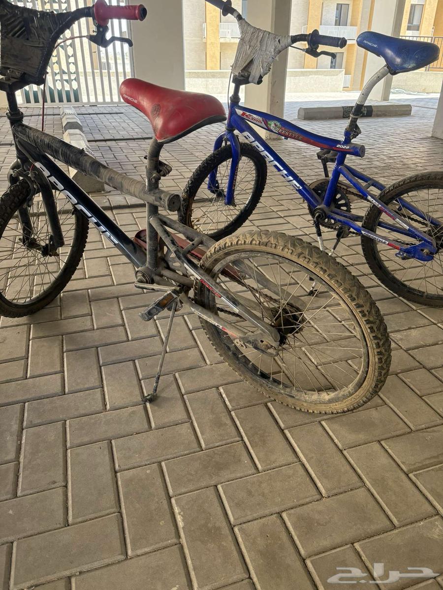 2 Cobra bikes stored for sale, each at 15063774007922945111